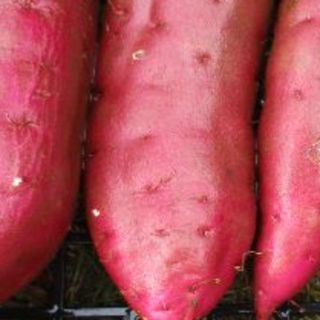 ☆サツマイモ５㌔☆(野菜)