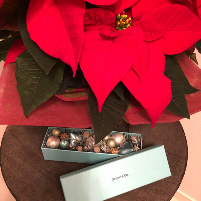 Tiffany & Co.(ティファニー)の11さま専用 TIFFANY & Co.   Boxクリスマス飾り ハンドメイドのパーティー(その他)の商品写真