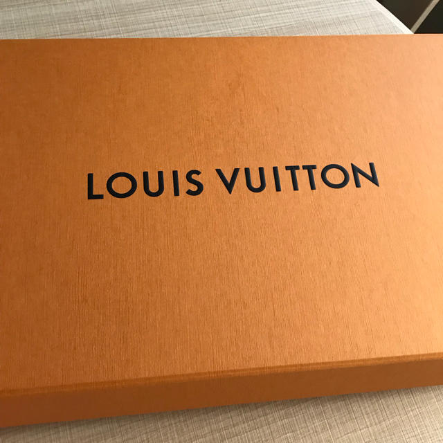 LOUIS VUITTON(ルイヴィトン)の☆もーる様専用☆ルイヴィトン エシャルプシティサテライト メンズのファッション小物(マフラー)の商品写真