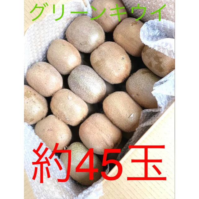 グリーンキウイフルーツ 千葉県船橋産 約45玉前後 約6.5kg前後 食品/飲料/酒の食品(フルーツ)の商品写真