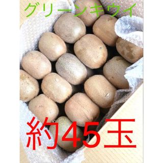 グリーンキウイフルーツ 千葉県船橋産 約45玉前後 約6.5kg前後(フルーツ)