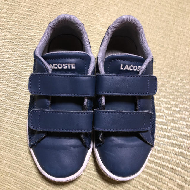 LACOSTE(ラコステ)のしらちゃん様ご専用 キッズ/ベビー/マタニティのキッズ靴/シューズ(15cm~)(スニーカー)の商品写真