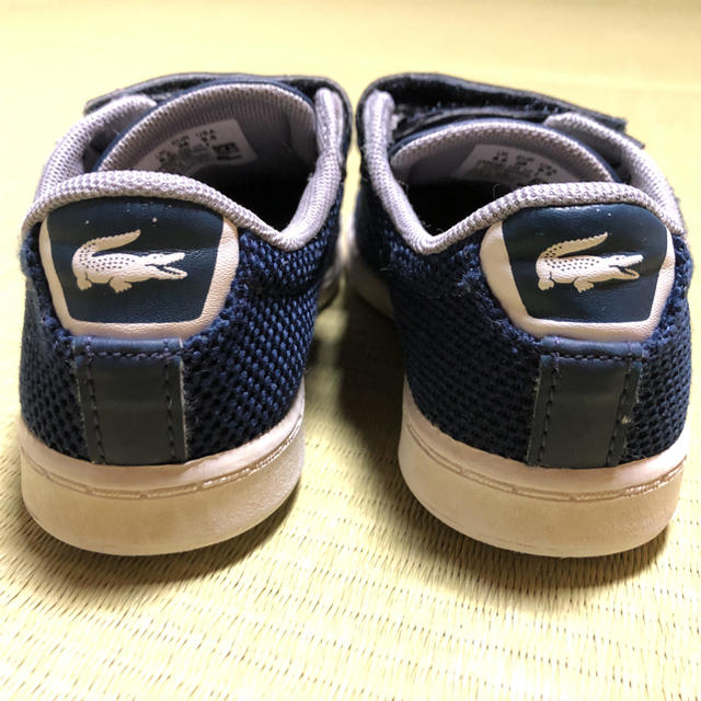 LACOSTE(ラコステ)のしらちゃん様ご専用 キッズ/ベビー/マタニティのキッズ靴/シューズ(15cm~)(スニーカー)の商品写真