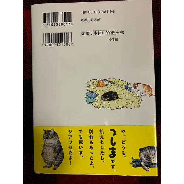 小学館(ショウガクカン)の俺、つしま エンタメ/ホビーの漫画(その他)の商品写真