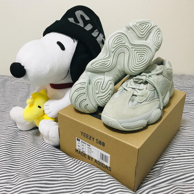 adidas Yeezy 500 Salt 270