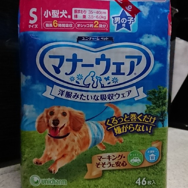 マナーウェア Sサイズ    その他のペット用品(犬)の商品写真