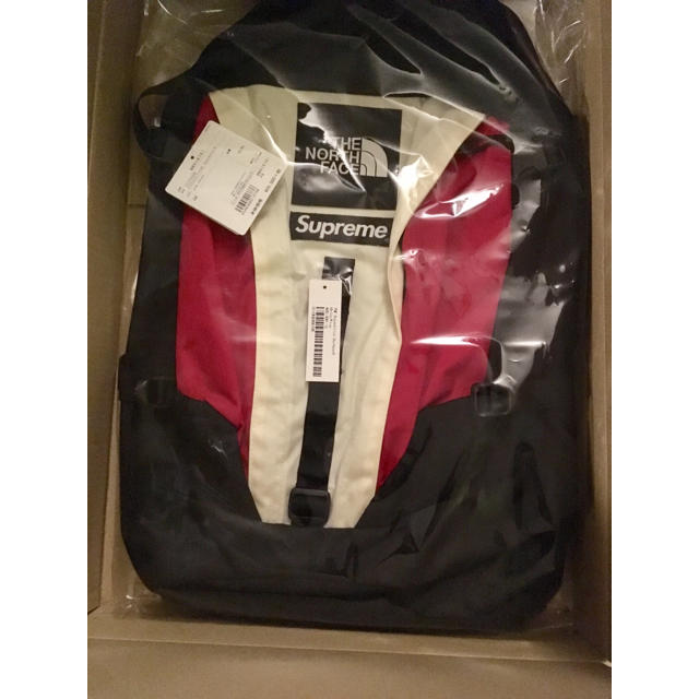 Supreme north face expedition backpack