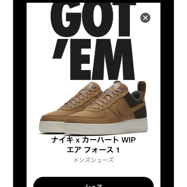 カーハート WIP エアフォース 27センチ | www.innoveering.net