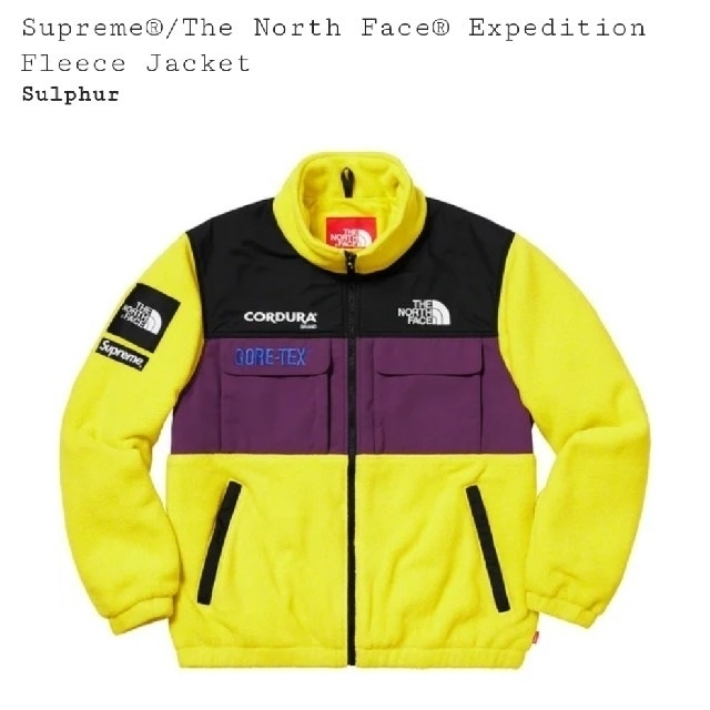 Supreme the north face fleece