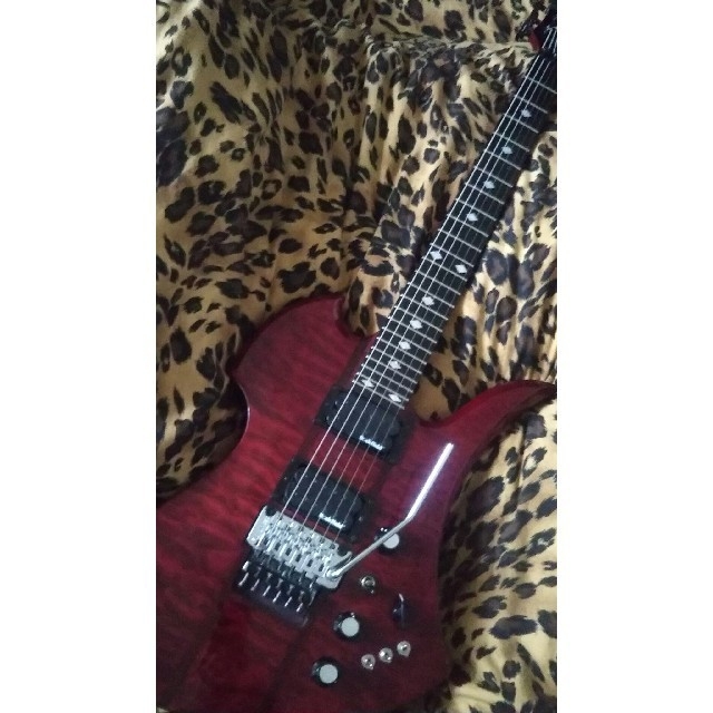 B.C RICH モッキンバード