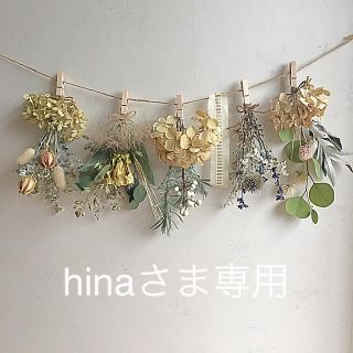 hinaさま専用ドライフラワーガーランド(ドライフラワー)