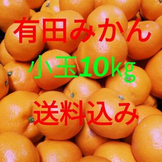 有田みかん🍊小玉🍊10キロ🍊送料込み(フルーツ)