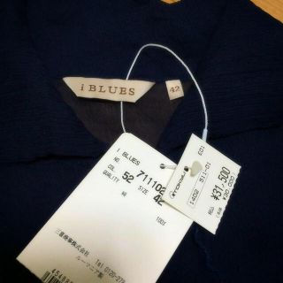 マックスマーラ(Max Mara)のi BLUESイブルース シルクブラウス(シャツ/ブラウス(長袖/七分))