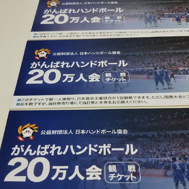 日本ハンドボール協会 観戦チケット2枚 チケットのスポーツ(サッカー)の商品写真