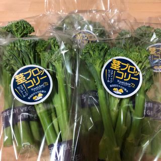 ★朝採り野菜★茎ブロッコリー★500g★四万十町産★(野菜)