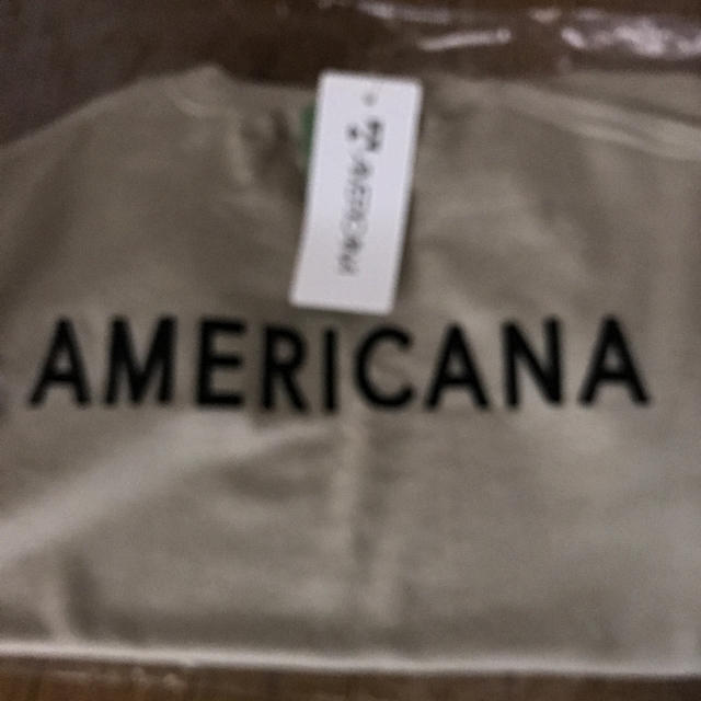 AMERICANA(アメリカーナ)の新品  アメリカーナ   ハイネックサイドジップスウェット レディースのトップス(トレーナー/スウェット)の商品写真