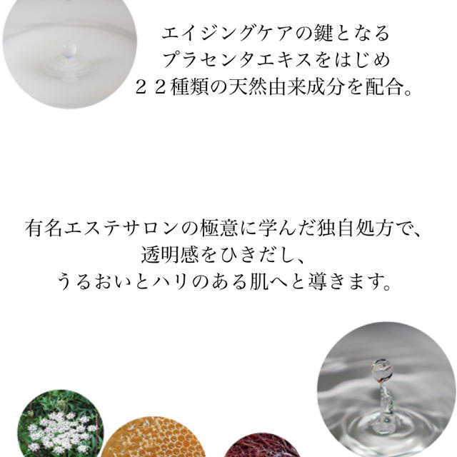 VEGA パック コスメ/美容のヘアケア/スタイリング(ヘアパック/ヘアマスク)の商品写真