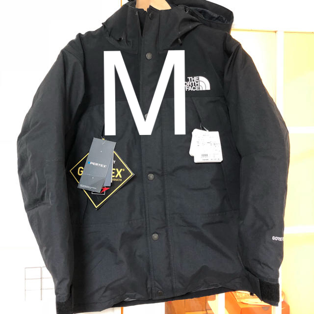 THE NORTH FACE - M The North Face Mountain Down Jacket
