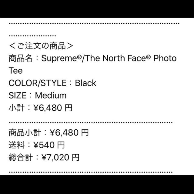 Supreme(シュプリーム)のSupreme × The North Face Photo Tシャツ メンズのトップス(Tシャツ/カットソー(半袖/袖なし))の商品写真