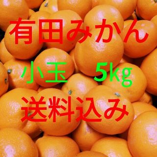 有田みかん🍊小玉🍊5㎏🍊送料込み(フルーツ)