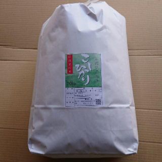 新米✨新潟コシヒカリ精米10ｋｇ(米/穀物)