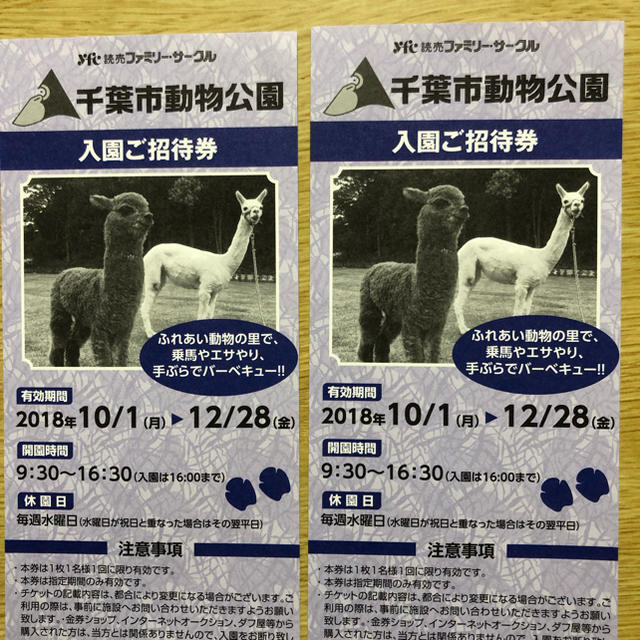 千葉市動物公園 入園無料チケット 2枚 チケットの施設利用券(動物園)の商品写真