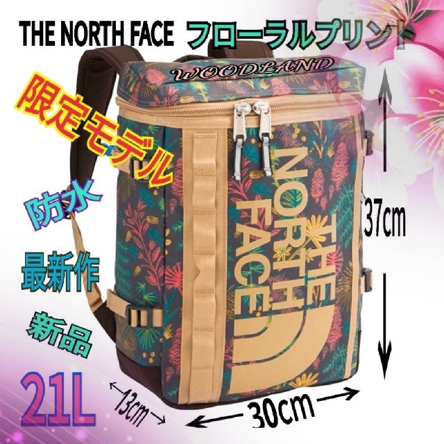 THE NORTH FACE - 限定 ノースフェイス ヒューズボックス リュック BC