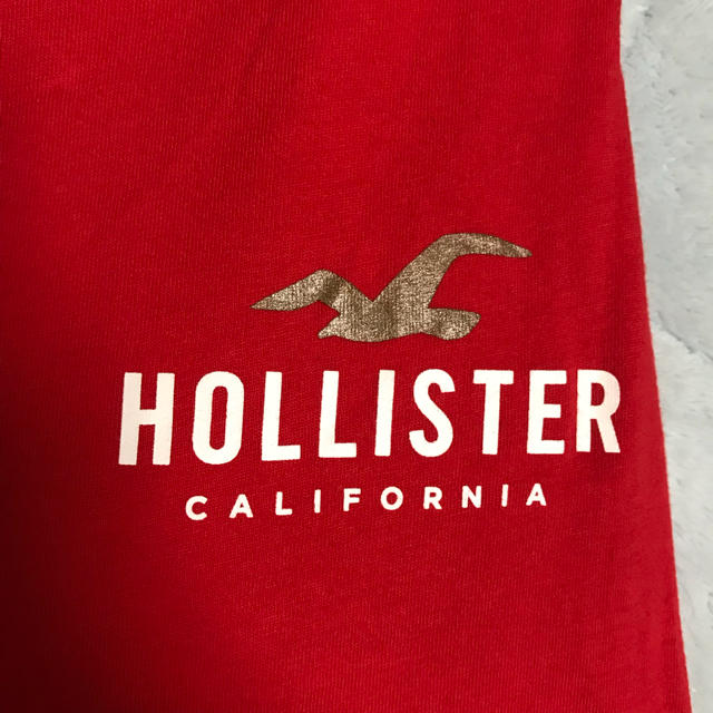 Hollister(ホリスター)のHOLLISTER  メンズのトップス(Tシャツ/カットソー(七分/長袖))の商品写真