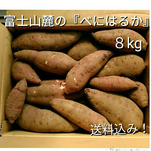 富士山麓で収穫したサツマイモ「べにはるか」8kg 食品/飲料/酒の食品(野菜)の商品写真