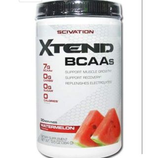 エクステンド BCAA  ウォーターメロン(アミノ酸)