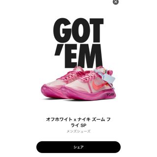 ナイキ(NIKE)の［最終値下げ］the ten ズームフライ(スニーカー)