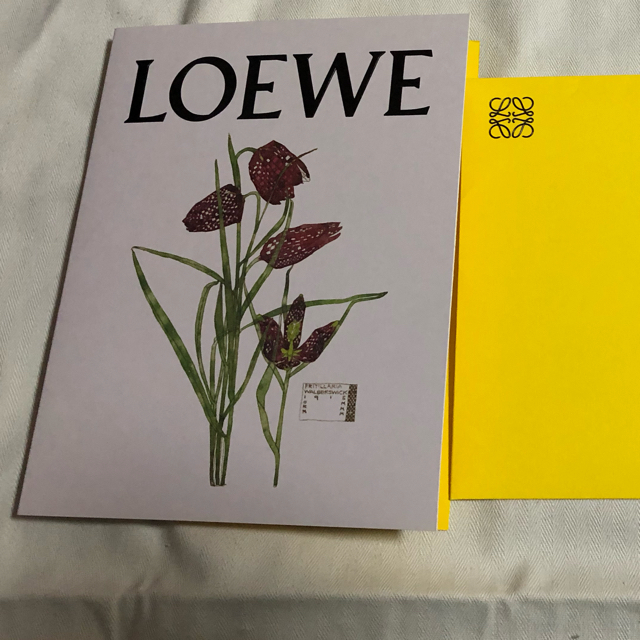 LOEWE(ロエベ)のロエベ  雑誌＆ポストカード エンタメ/ホビーの雑誌(ファッション)の商品写真
