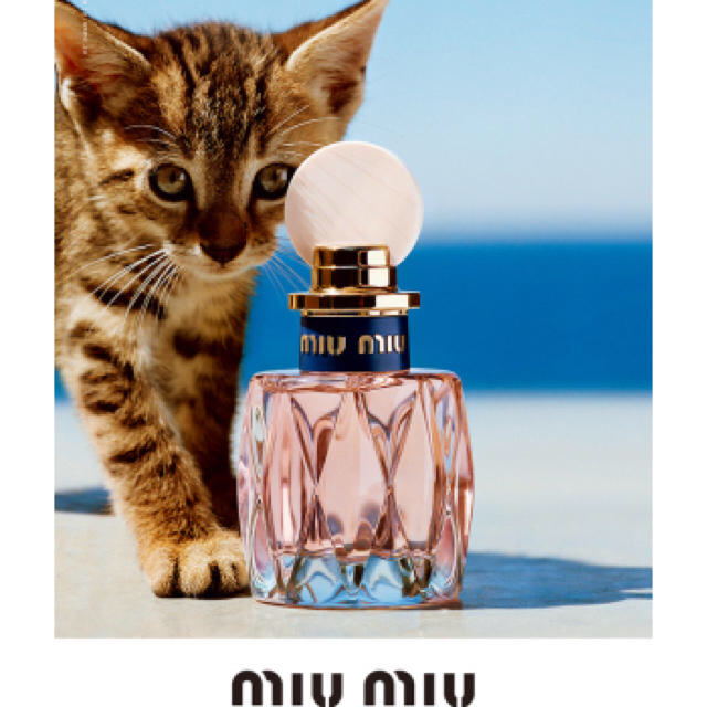 miumiu 香水コフレ5点セット ミラー ポーチ ロールオン - 香水(女性用)