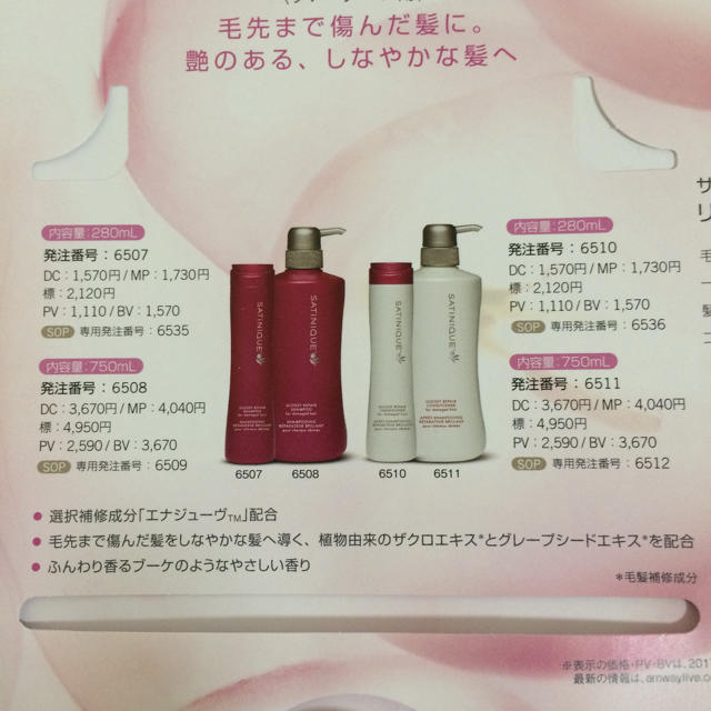 Amway(アムウェイ)のサテニーク シャンプー＆コンディショナー コスメ/美容のキット/セット(サンプル/トライアルキット)の商品写真