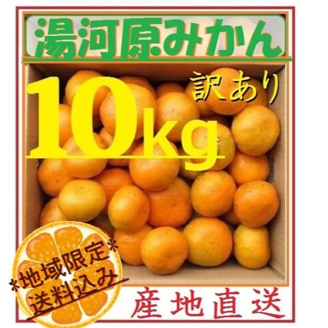 ひめこげ 様専用10㌔ ２箱みかん 🍊訳あり 湯河原みかん ご家庭用 不選別 食品/飲料/酒の食品(フルーツ)の商品写真