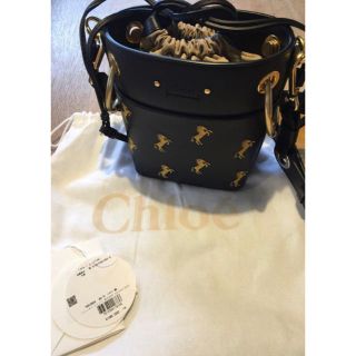 クロエ(Chloe)のChloe バック(ショルダーバッグ)