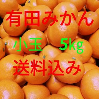 有田みかん🍊小玉🍊5㎏🍊送料込み(フルーツ)