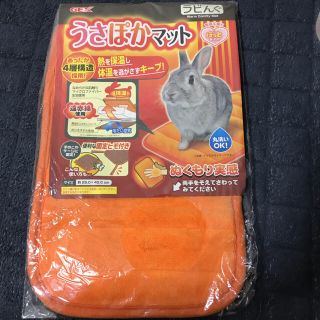 双子ママ様専用 うさぽかマット ラビんぐ(小動物)