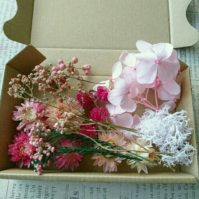 ドライフラワーとブリザの花材セット  ピンク⑤ ハンドメイドのフラワー/ガーデン(ドライフラワー)の商品写真