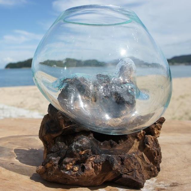 流木ガラスXSo オブジェ 花瓶 多肉植物 金魚鉢 バリ島アート作品 テラリウム