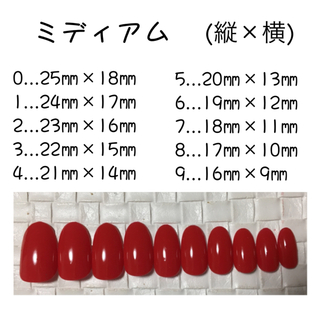 雪の結晶×モカ☆ネイルチップ コスメ/美容のネイル(つけ爪/ネイルチップ)の商品写真