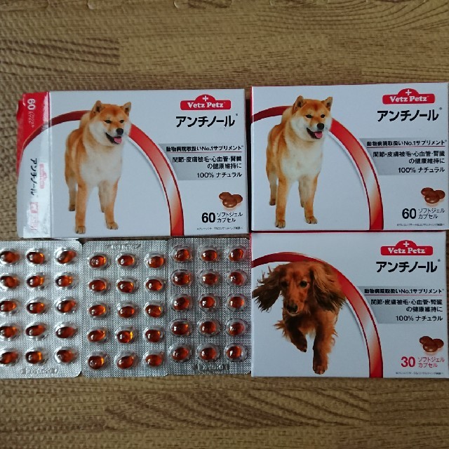 アンチノール  犬用　60カプセル　新品