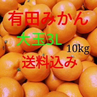 有田みかん🍊３L🍊10キロ箱に満杯🍊送料込み(フルーツ)