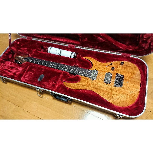 買得 Ibanez - 専用 エレキギター - skconcept.com