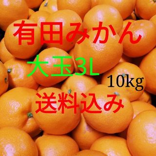 有田みかん🍊３L🍊大玉🍊10キロ箱に満杯🍊送料込み(フルーツ)