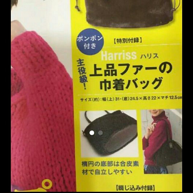 Harriss(ハリス)のファーバッグ レディースのバッグ(ショルダーバッグ)の商品写真