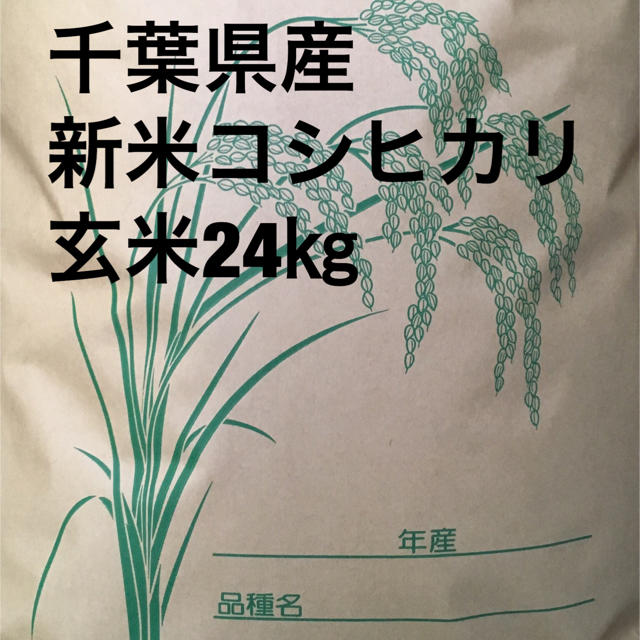 コシヒカリ玄米24キロ 食品/飲料/酒の食品(米/穀物)の商品写真