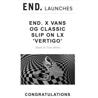 ヴァンズ(VANS)のEND vans 限定コラボ スリッポン(スニーカー)