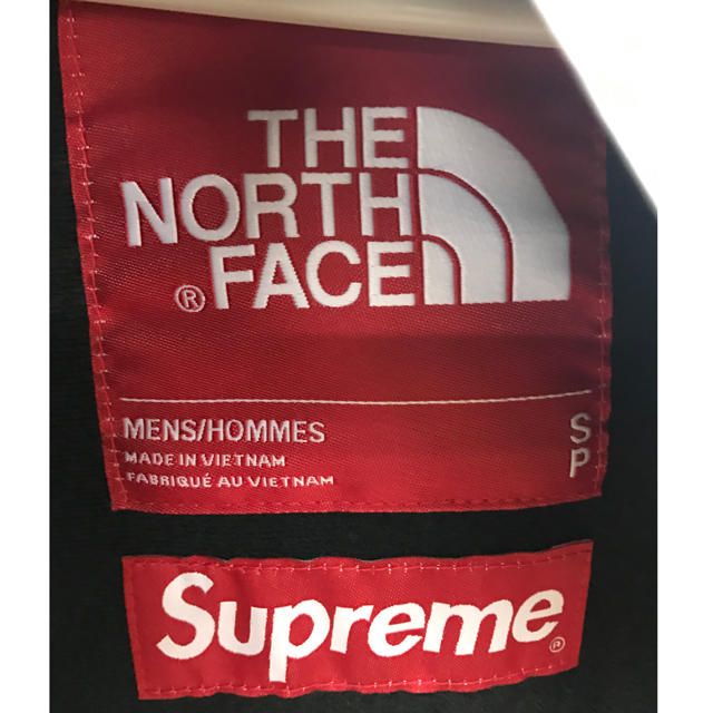 Supreme(シュプリーム)のThe North Face Metallic Mountain Parka S メンズのジャケット/アウター(マウンテンパーカー)の商品写真