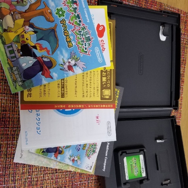 任天堂(ニンテンドウ)の任天堂DS　カセット エンタメ/ホビーのゲームソフト/ゲーム機本体(携帯用ゲームソフト)の商品写真